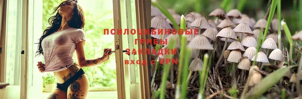 эйфоретик Кодинск