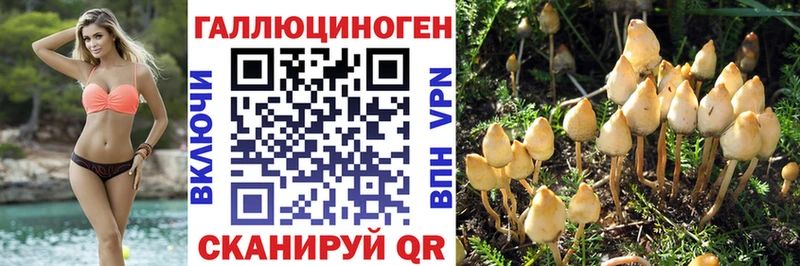 Псилоцибиновые грибы Psilocybe  магазин продажи наркотиков  Черемхово 