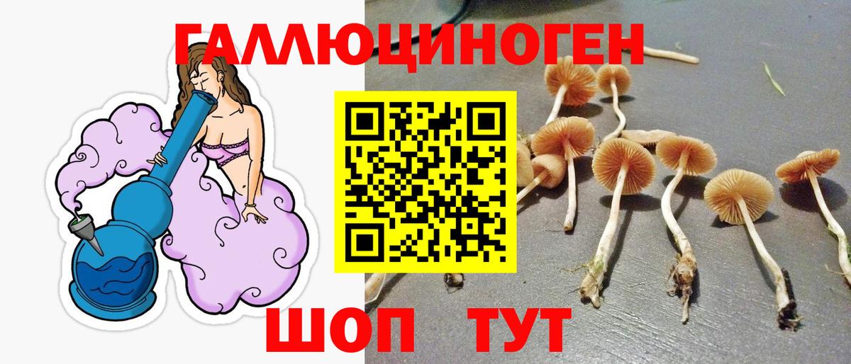 Псилоцибиновые грибы Cubensis  Вход с VPN  Черемхово  Псилоцибиновые грибы прущие грибы 